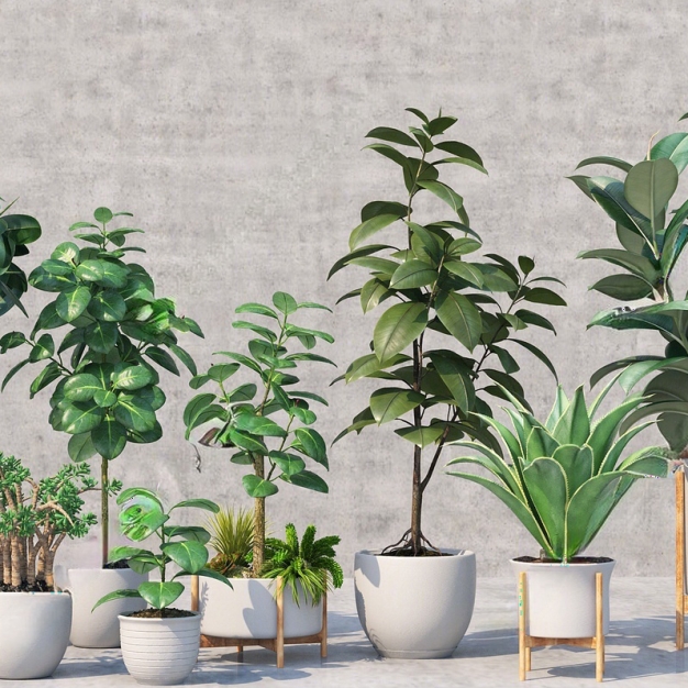 植物盆栽组合3D模型
