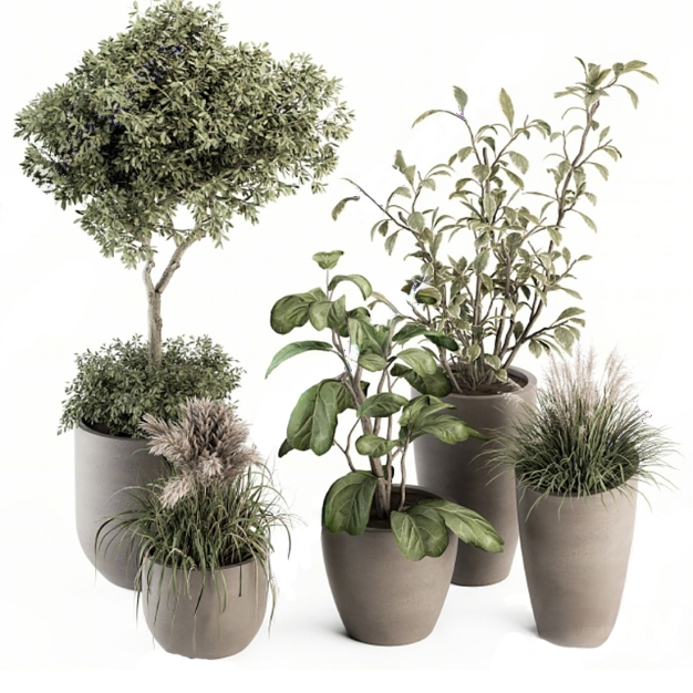 现代绿植盆栽盆景组合3D模型