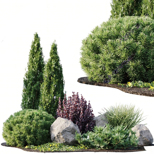 植物 灌木3D模型