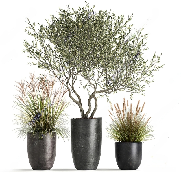 现代植物盆栽组合3D模型