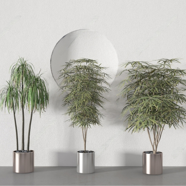 植物盆栽3D模型