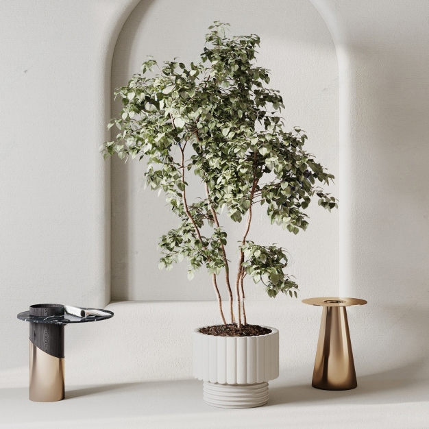  现代植物盆栽摆件3D模型