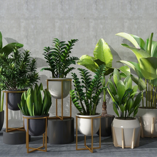 植物盆栽3D模型