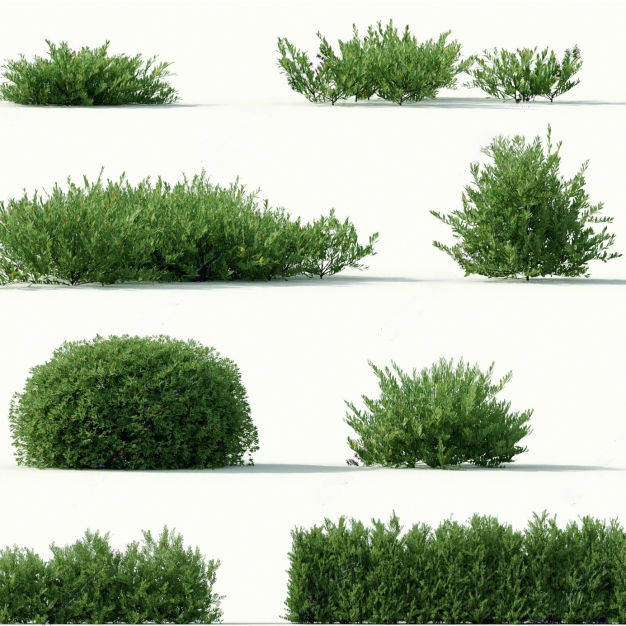 灌木植物组合3D模型