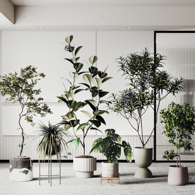 现代绿植盆栽盆景组合3D模型