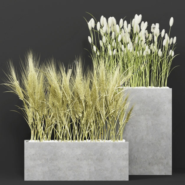 现代麦穗花箱3D模型