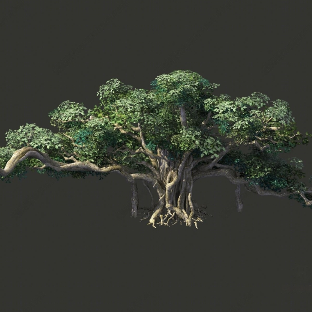 树木3D模型