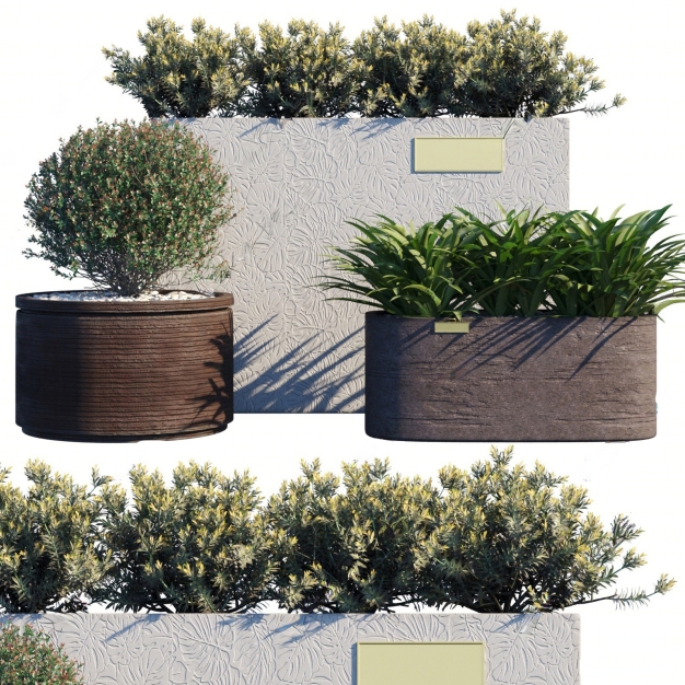 现代植物盆栽组合3D模型