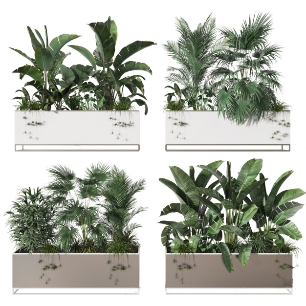 植物盆栽3D模型