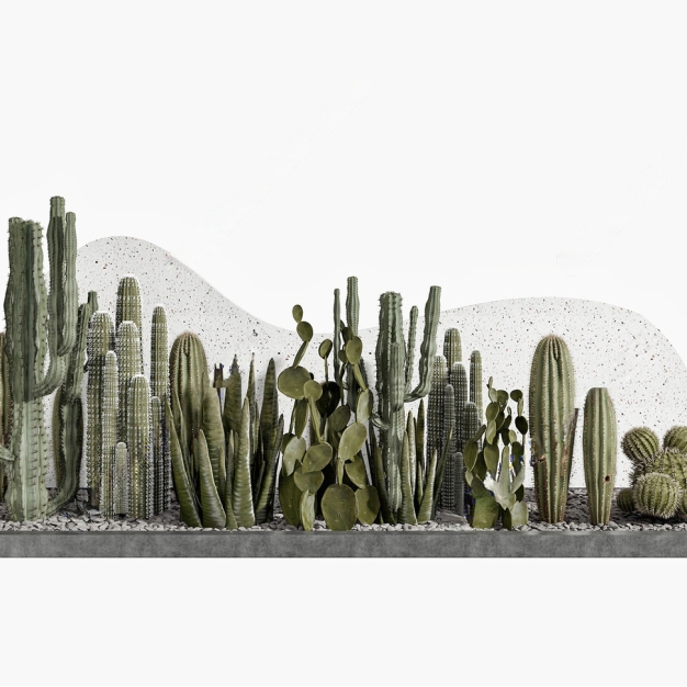 仙人掌 植物堆3D模型