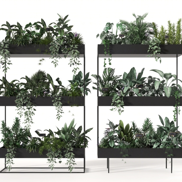 植物盆栽组合3D模型