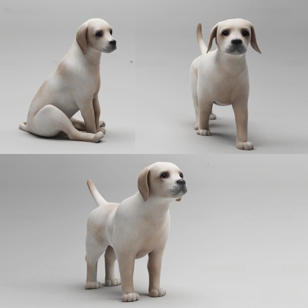 宠物狗动物3D模型