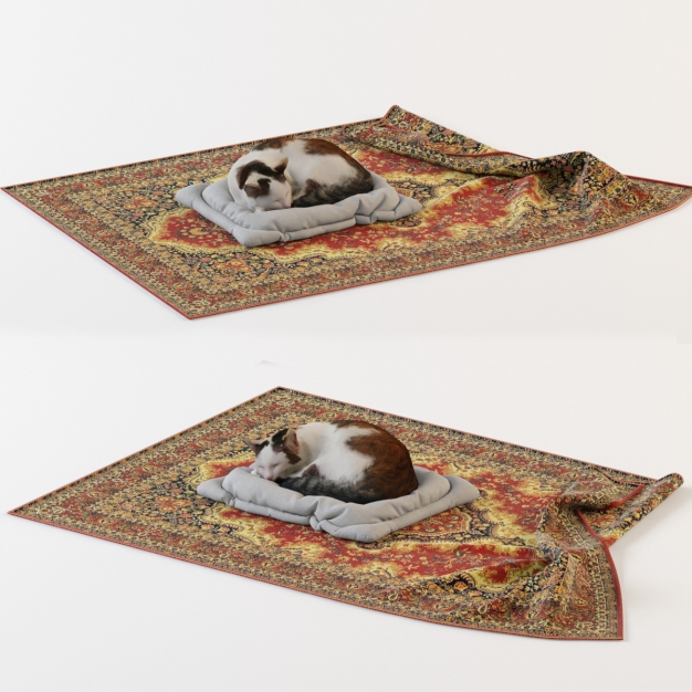 猫动物3D模型