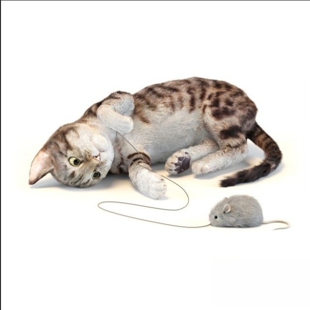  猫咪动物3D模型